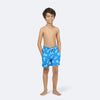 Crystal Blue Pineapples Set