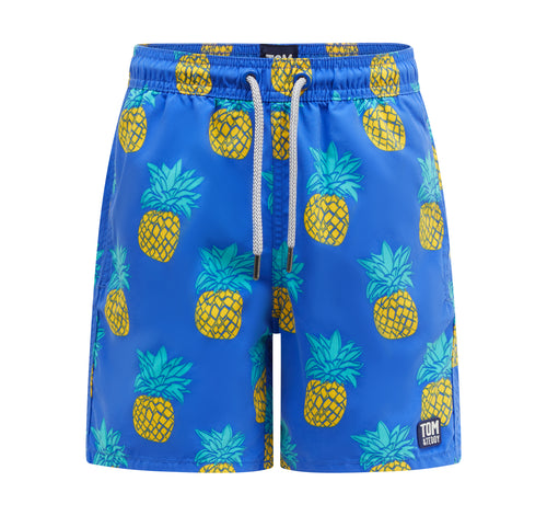 Blue & Yellow Pineapples