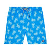 Crystal Blue Pineapples Set