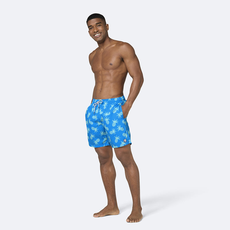 Crystal Blue Pineapples Set