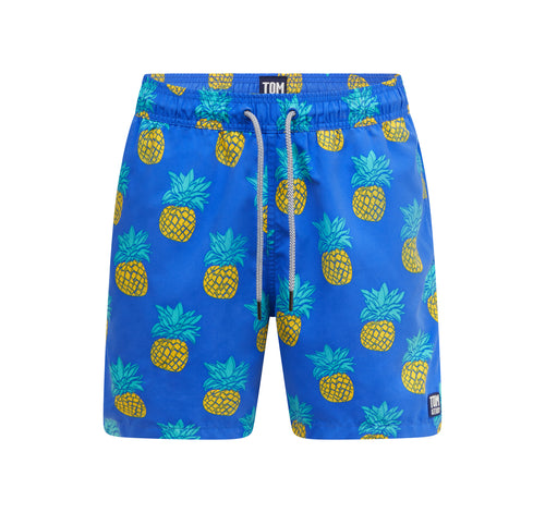 Blue & Yellow Pineapples