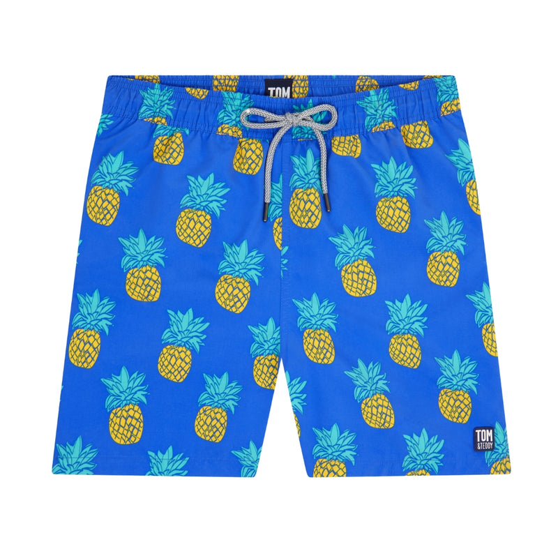 Blue & Yellow Pineapples