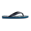 Palm Flip Flops