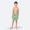 Fresh Green & Blue Starfish Set