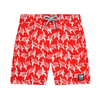 Red & White Turtles