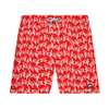Red & White Turtles
